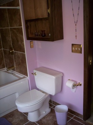 Bathroom Remodel - Princeton IL Contractor - ceramic tile installation