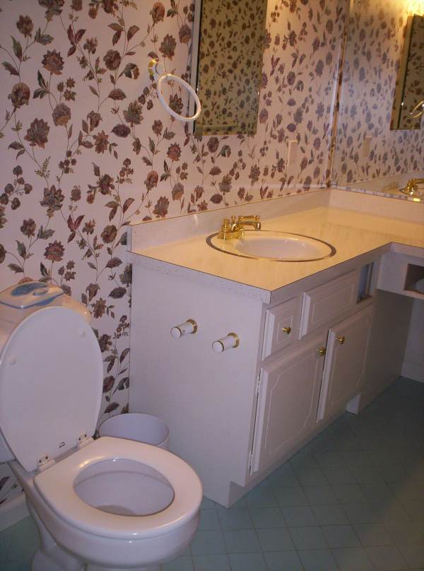 bathroom remodel - Princeton IL - JW Anson Contractor