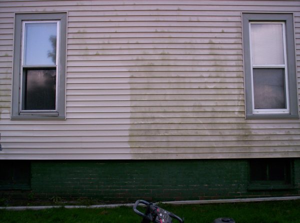 Pressure Wash Siding - Mold Removal - Princeton Illinois